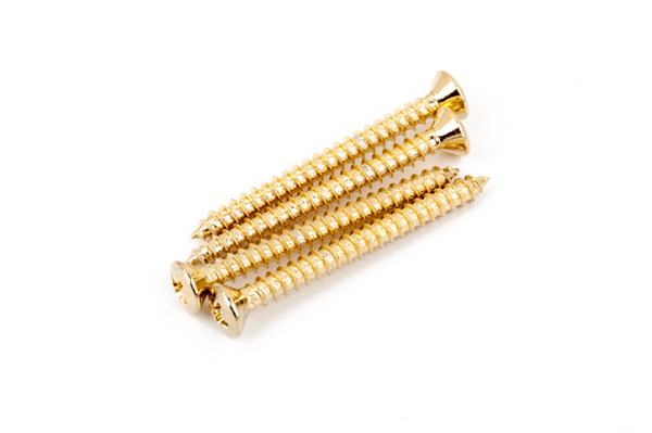 Fender Neck Mounting Screws (4) (Gold)