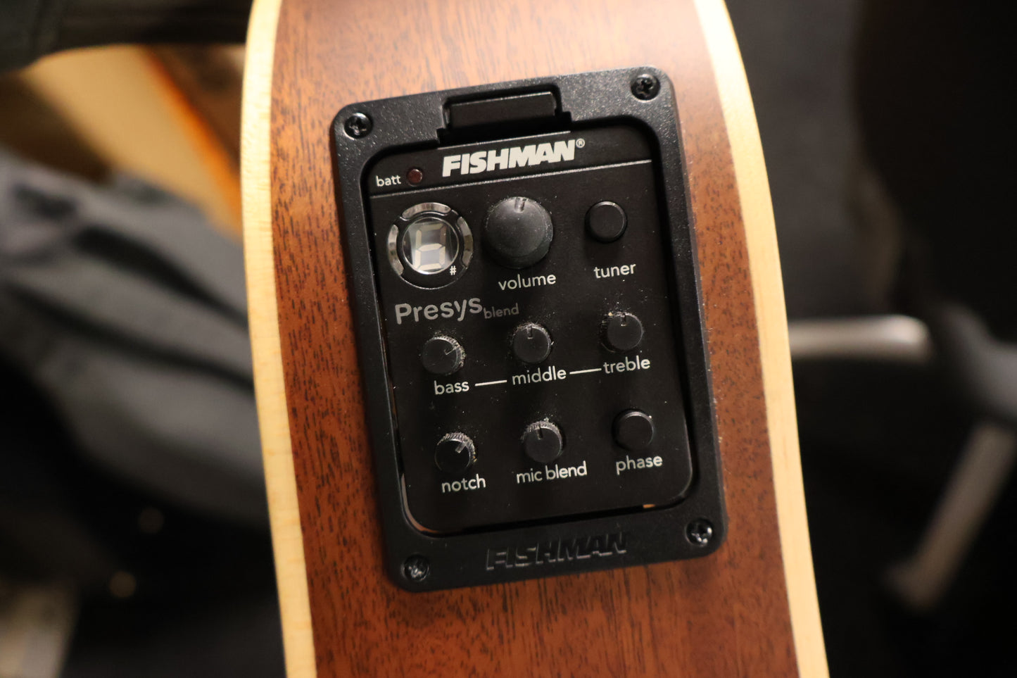 Eko Mia Dreadnought with Fishman Electronics (Used)