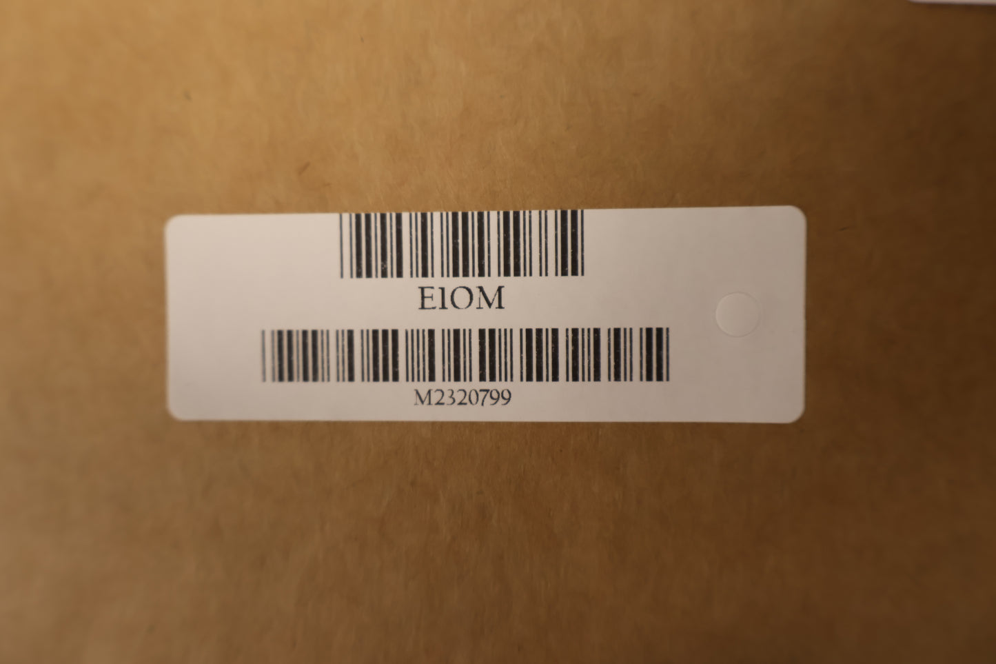 Eastman E1OM Orchestra