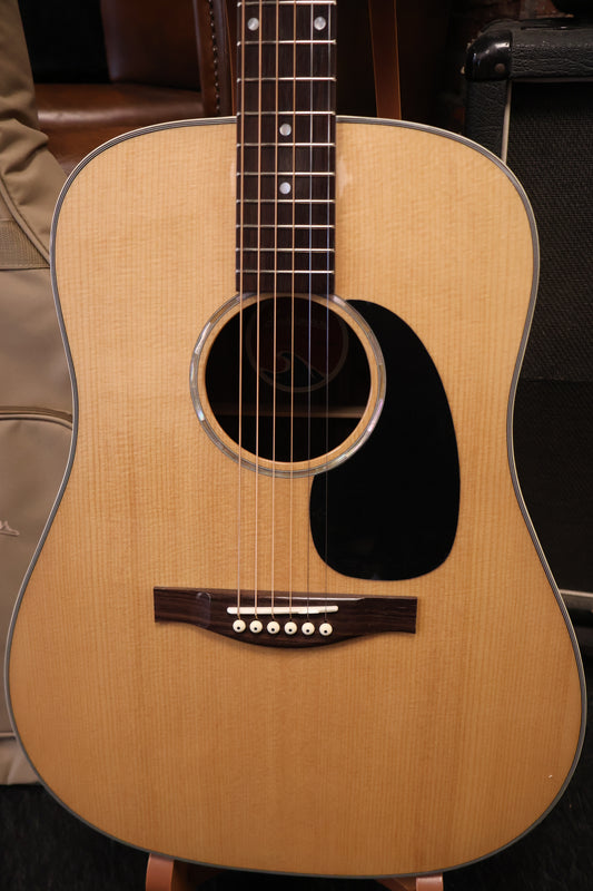 Eastman PCH2-D Dreadnought #869