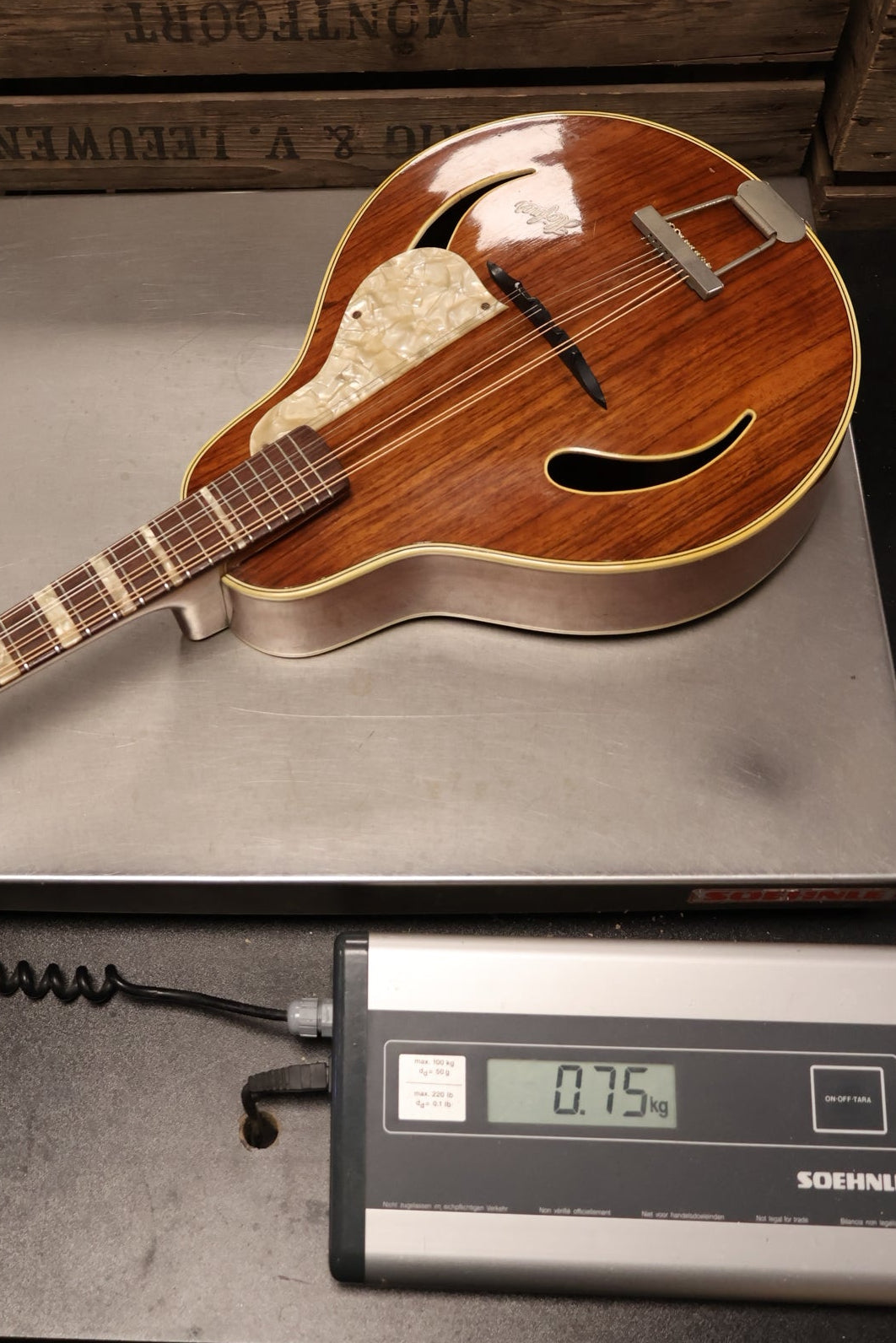 Hofner Model 545 Mandolin 60s