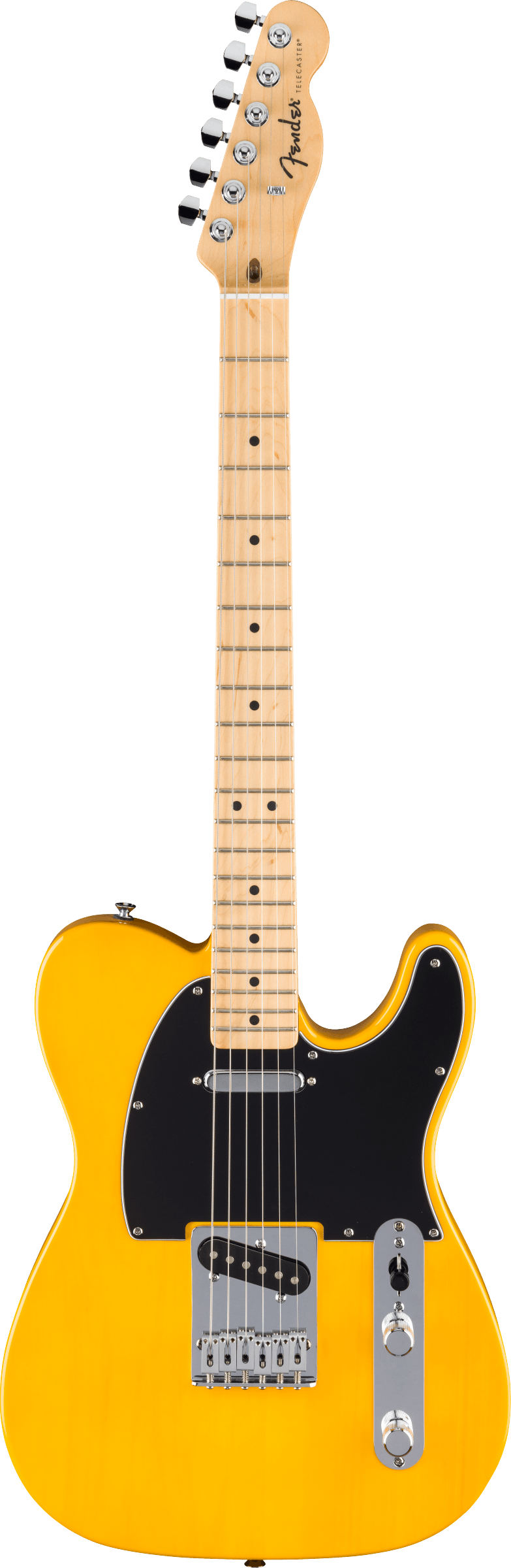 Fender Standard Telecaster Butterscotch Blonde