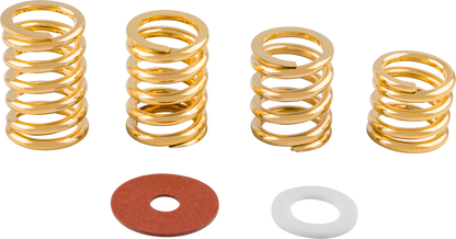 Bigsby Spring and Washer Pack, Gold