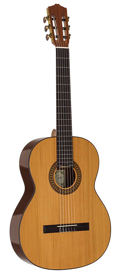 Salvador Cortez CC-22 Solid Top Artist Series Classic guitar