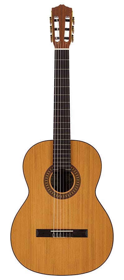 Salvador Cortez CC-22 Solid Top Artist Series Classic guitar