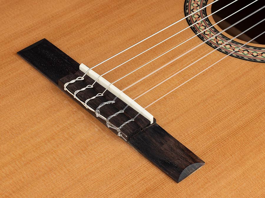 Salvador Cortez Maya CST