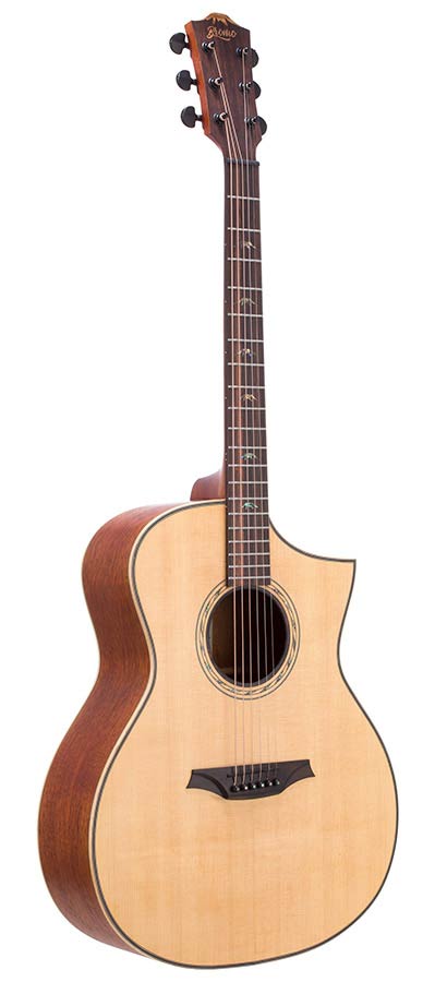 Bromo BAT4C Appalachian Hillside auditorium guitar