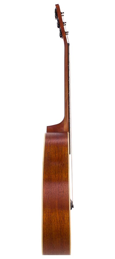 Bromo BAT4C Appalachian Hillside auditorium guitar