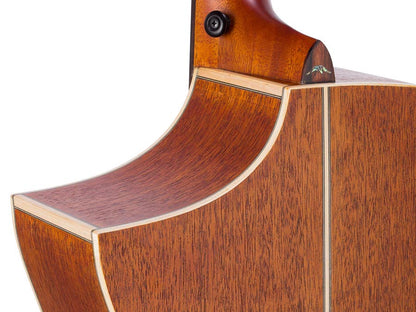 Bromo BAT4C Appalachian Hillside auditorium guitar
