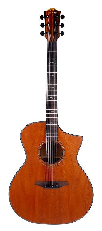 Bromo BAT4MC Appalachian Hillside auditorium guitar