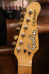 Godin Multiac L.R. Baggs Model (USED)