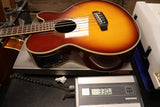 Washburn AB-34 Sunburst Acoustic Bass with Case (USED)