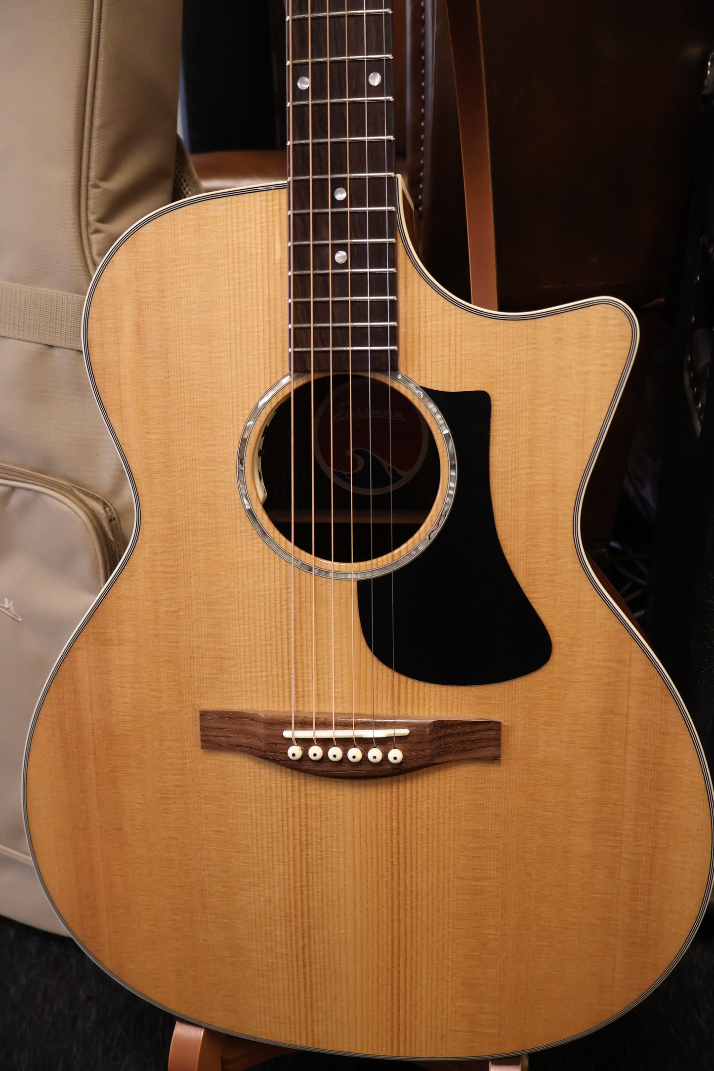 Eastman PCH2-GACE Grand Auditorium with Electronics