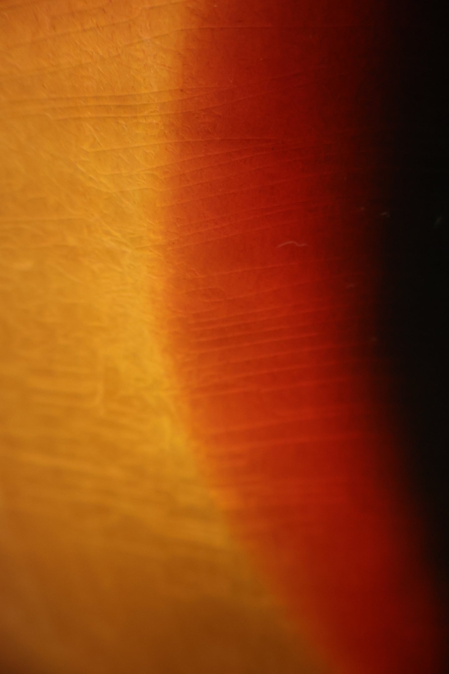 Fender 1964 Bass VI Sunburst