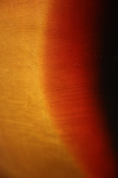 Fender 1964 Bass VI Sunburst