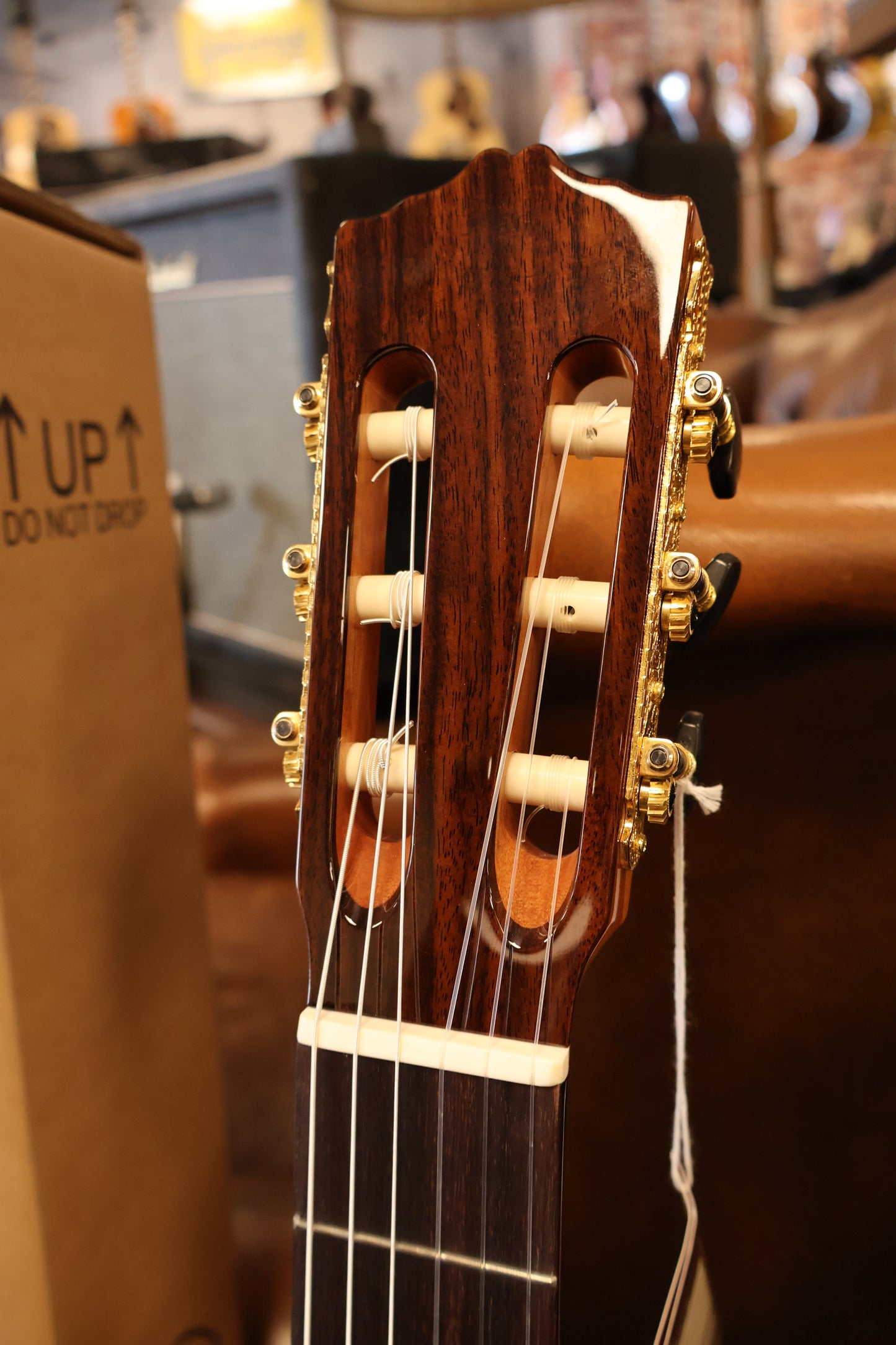 Salvador Cortez CS-65 Classic guitar solid top