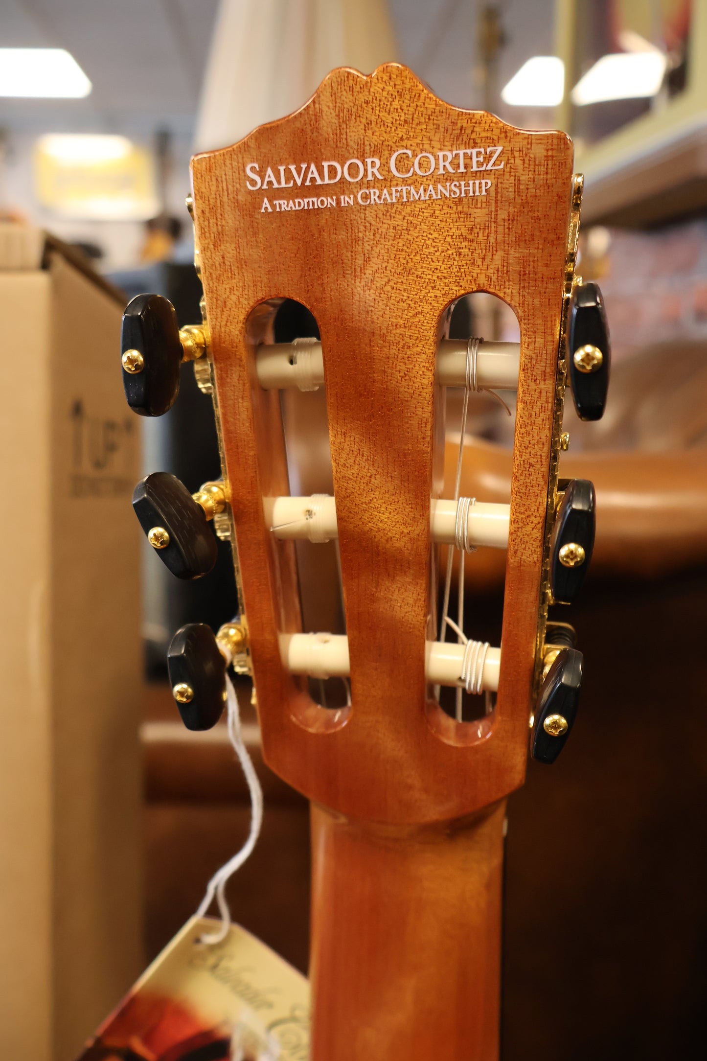 Salvador Cortez CS-65 Classic guitar solid top