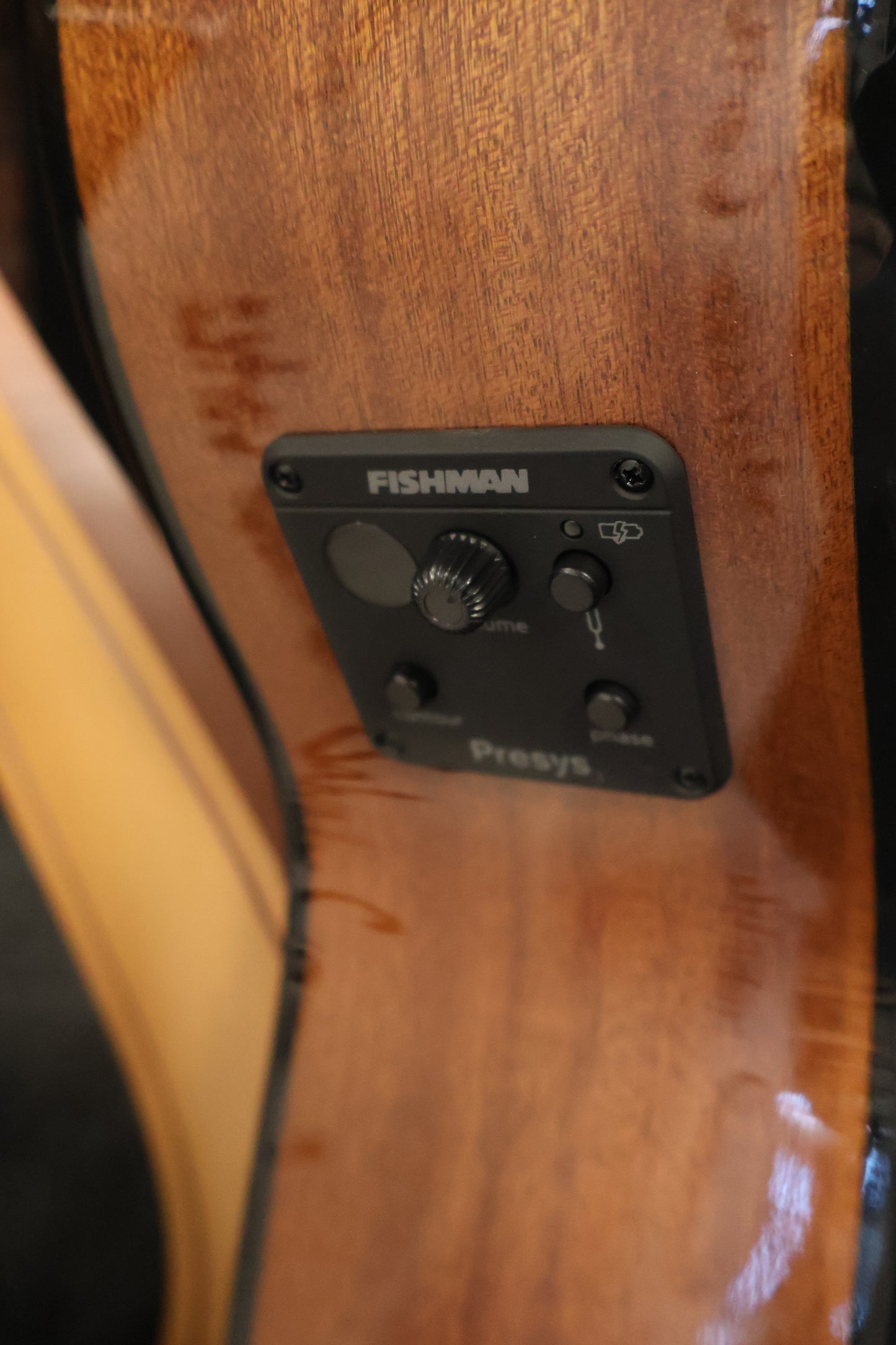 Salvador Cortez CC-10CE Classic guitar with Electronics