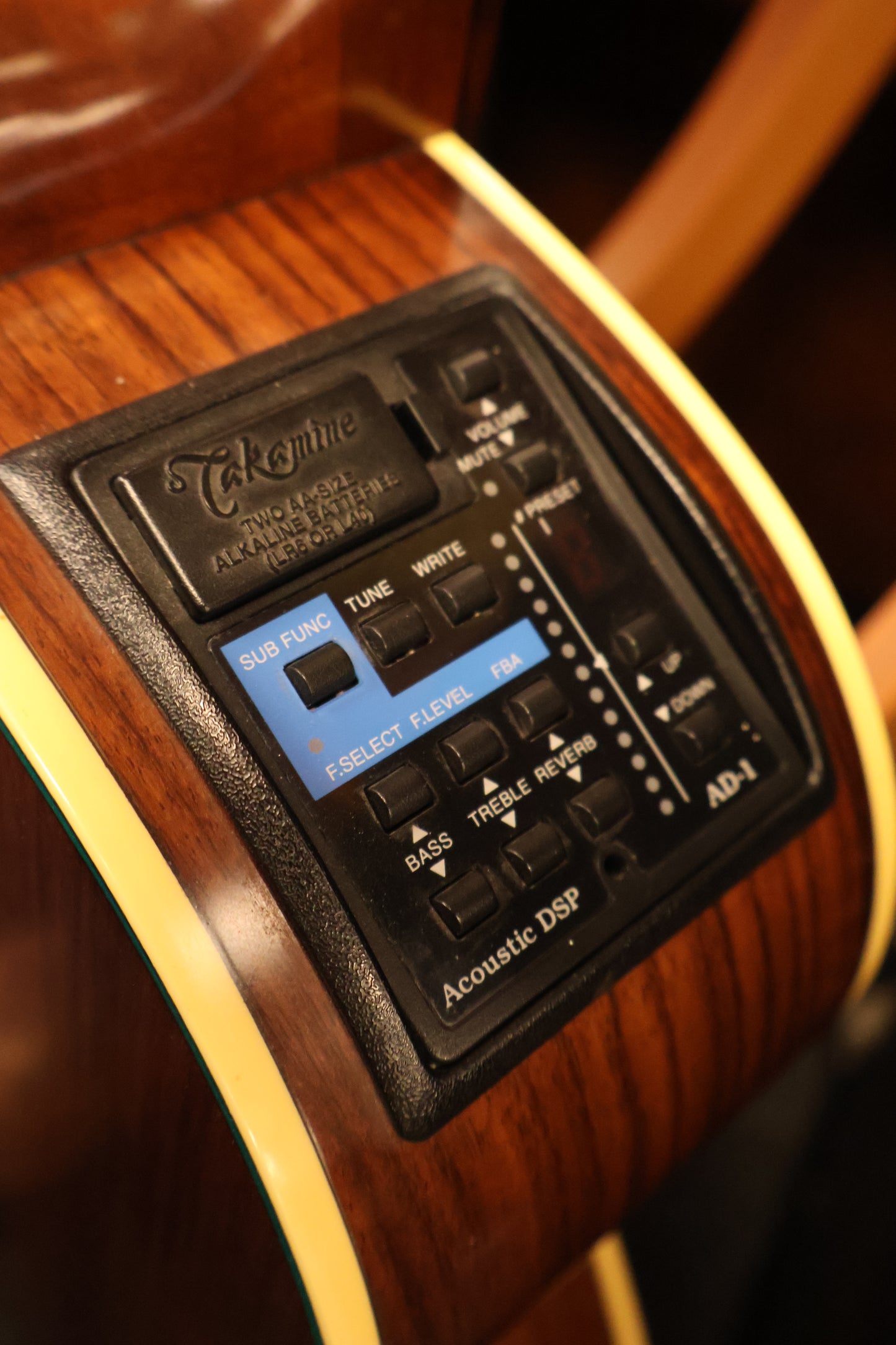 Takamine Ltd 1999 Grand Auditorium Mountain (Used)