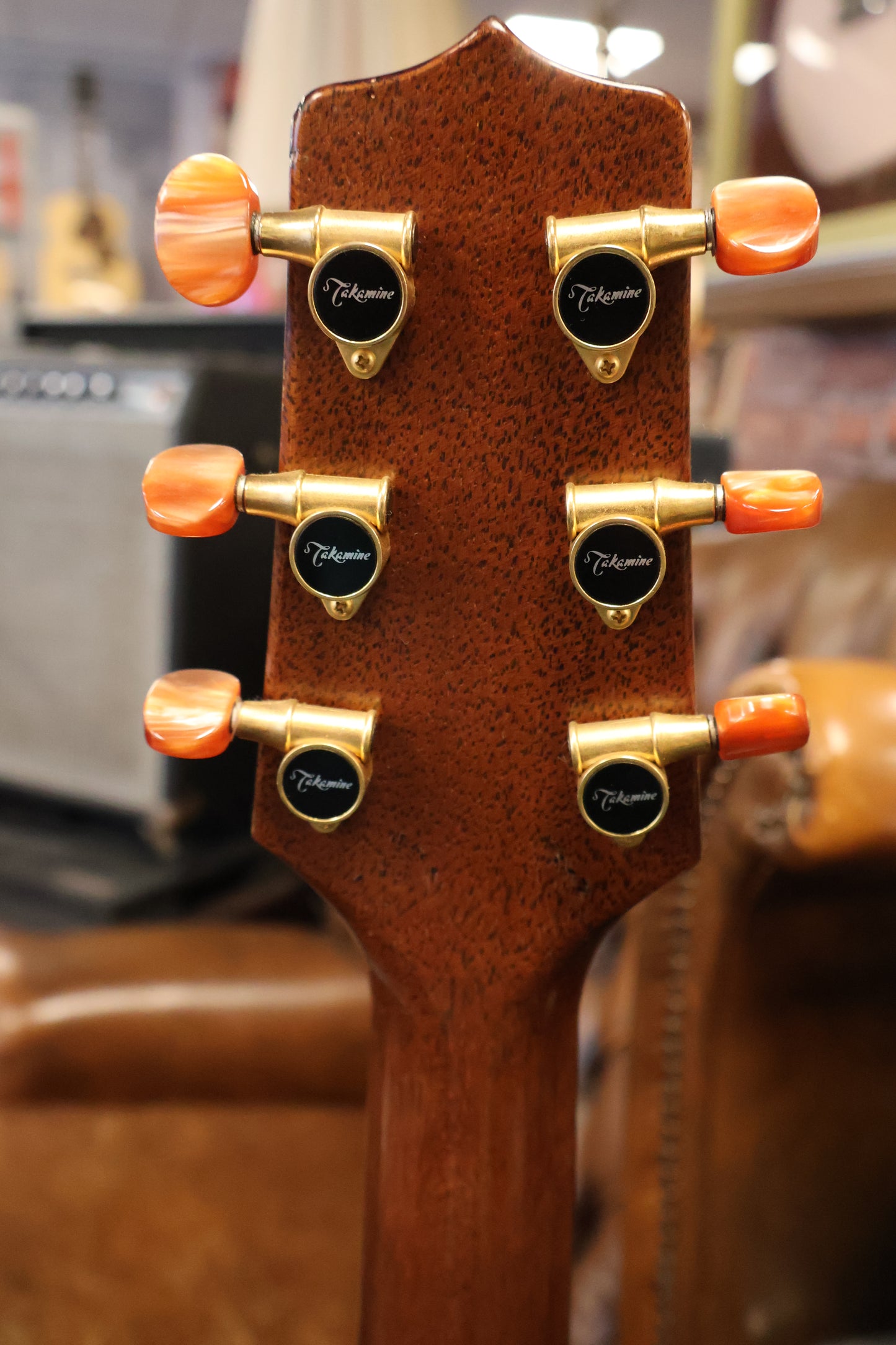 Takamine Ltd 1999 Grand Auditorium Mountain (Used)