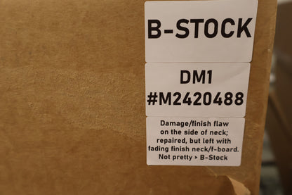 Eastman DM1 Gypsy Jazz, Spruce/Maple (B-Stock)