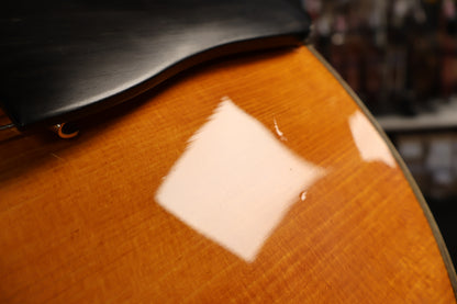 Eastman AR580CE-HB Honey Burst (Used)