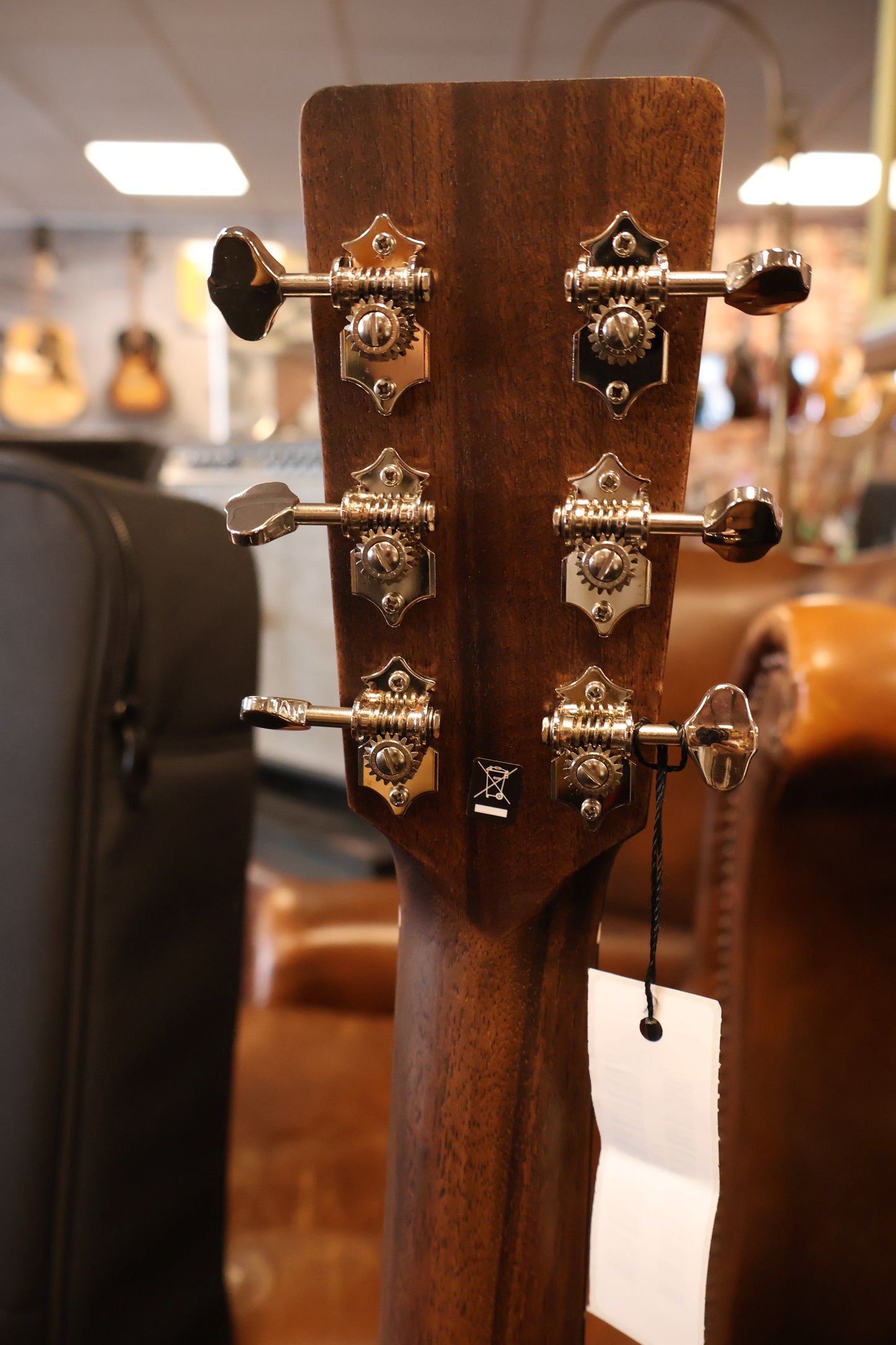 Eastman E3OME Auditorium with Pickup