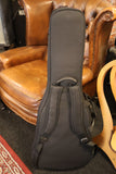 Eastman E1OM Orchestra