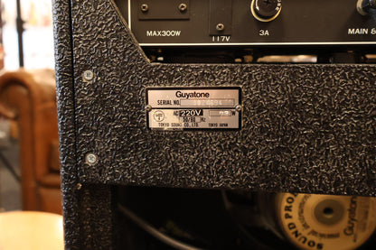 Guyatone Flip 1500 Tube Amplifier