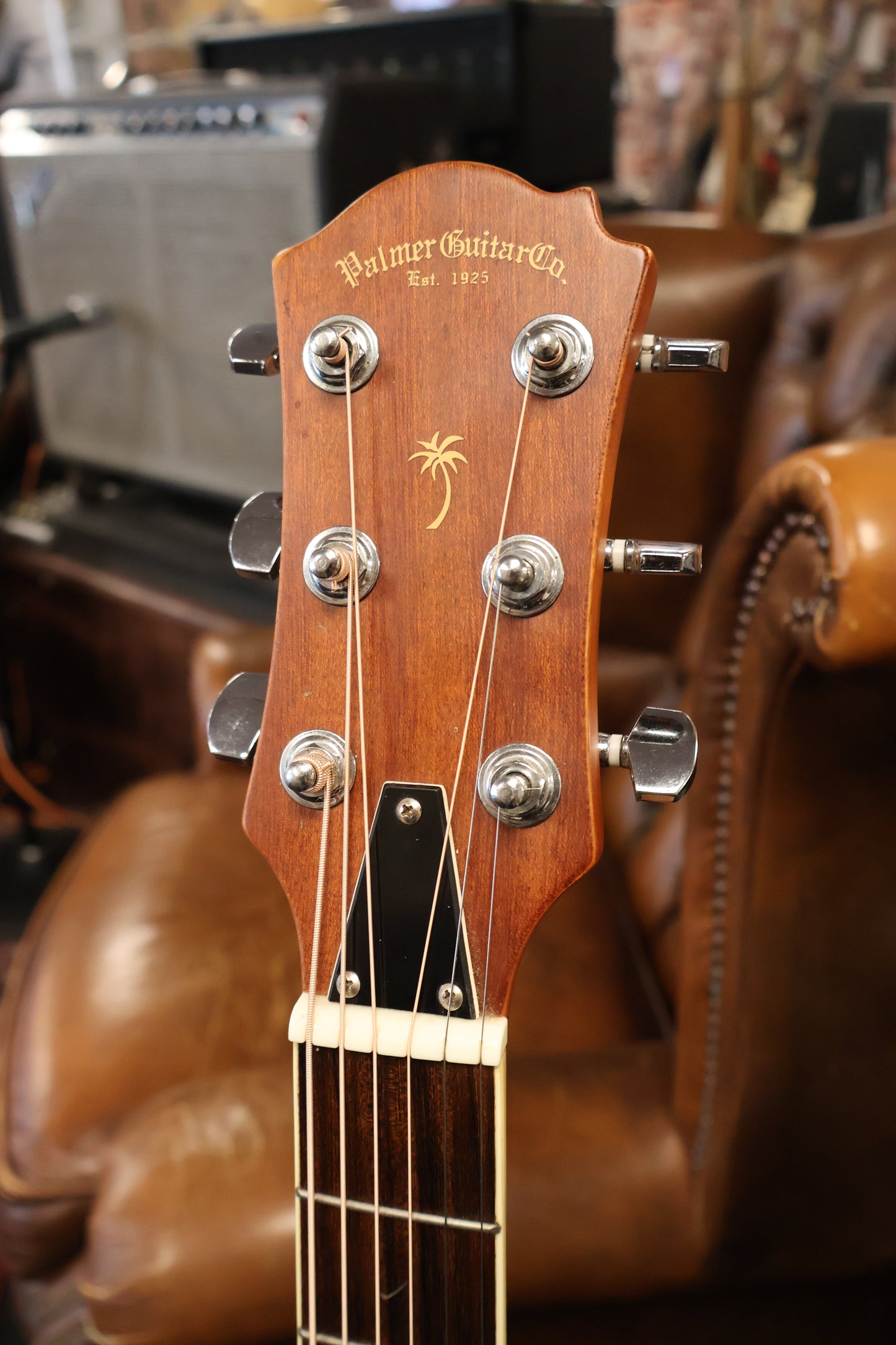Palmer Semi-Acoustic Ovation Clone 6-String Guitar (Used)