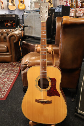 Tanglewood TW115ST Dreadnought (USED)