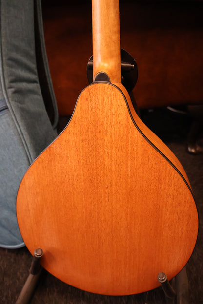 Eastman PCH-M104 Mandoline A Style Goldburst