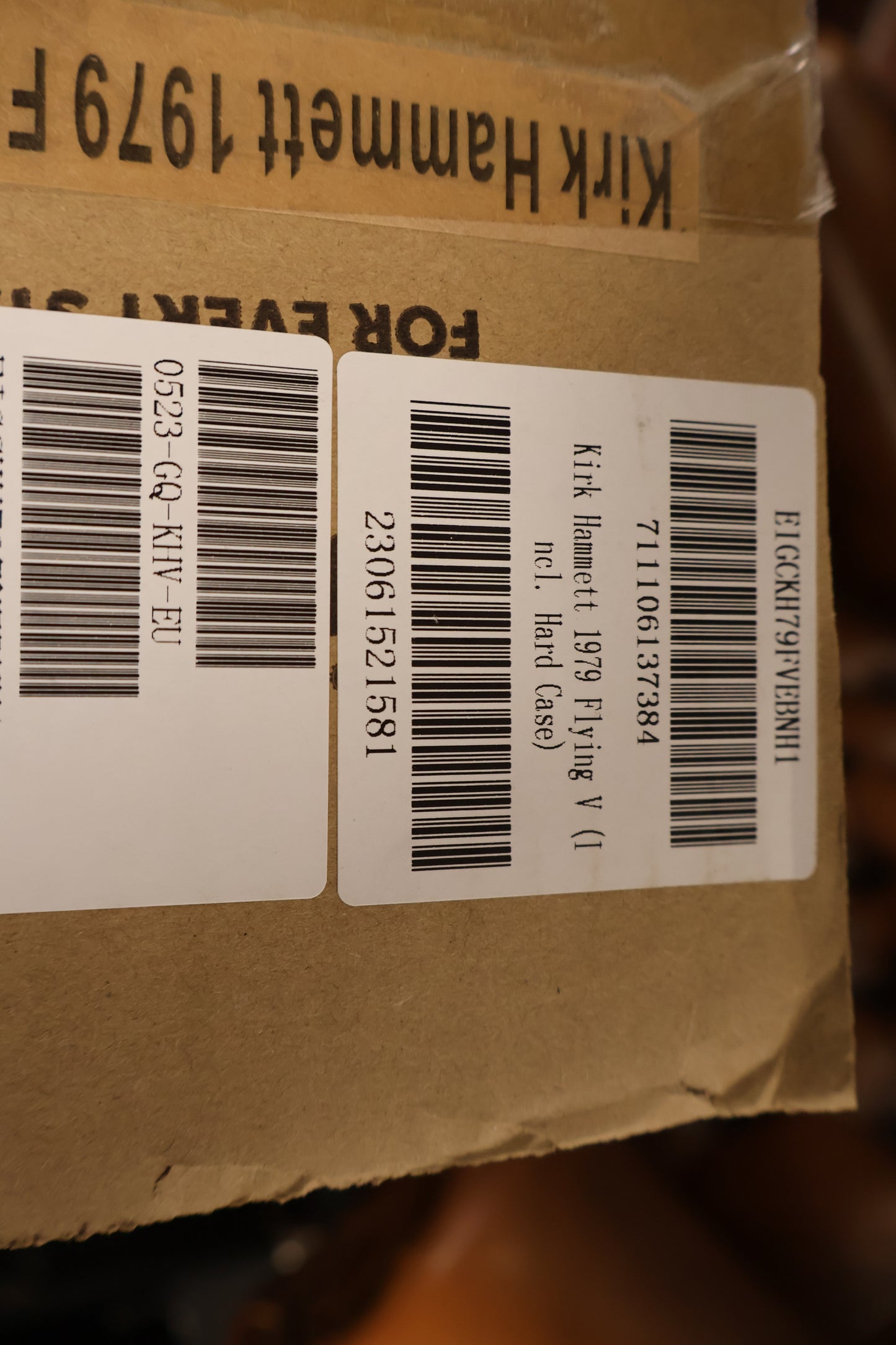 Epiphone Kirk Hammett 1979 Flying V (Incl. Hard Case)