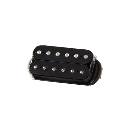 Gibson ELEV8 Plus Double Black Zebra Modern Collection