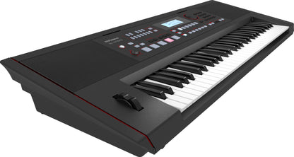 Roland EX-50 Arranger Keyboard (Demo model)