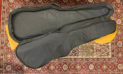 Dirk Witte Premium Electric Guitar gigbag