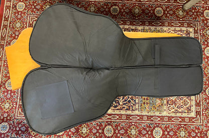 Stagg STB-10 EU Economy-line gigbag for Electric guitar