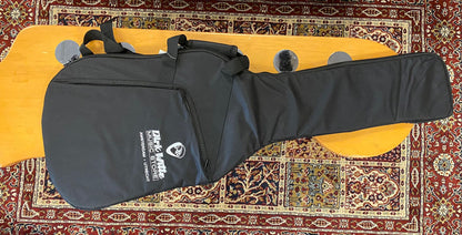 Stagg STB-10 EU Economy-line gigbag for Electric guitar