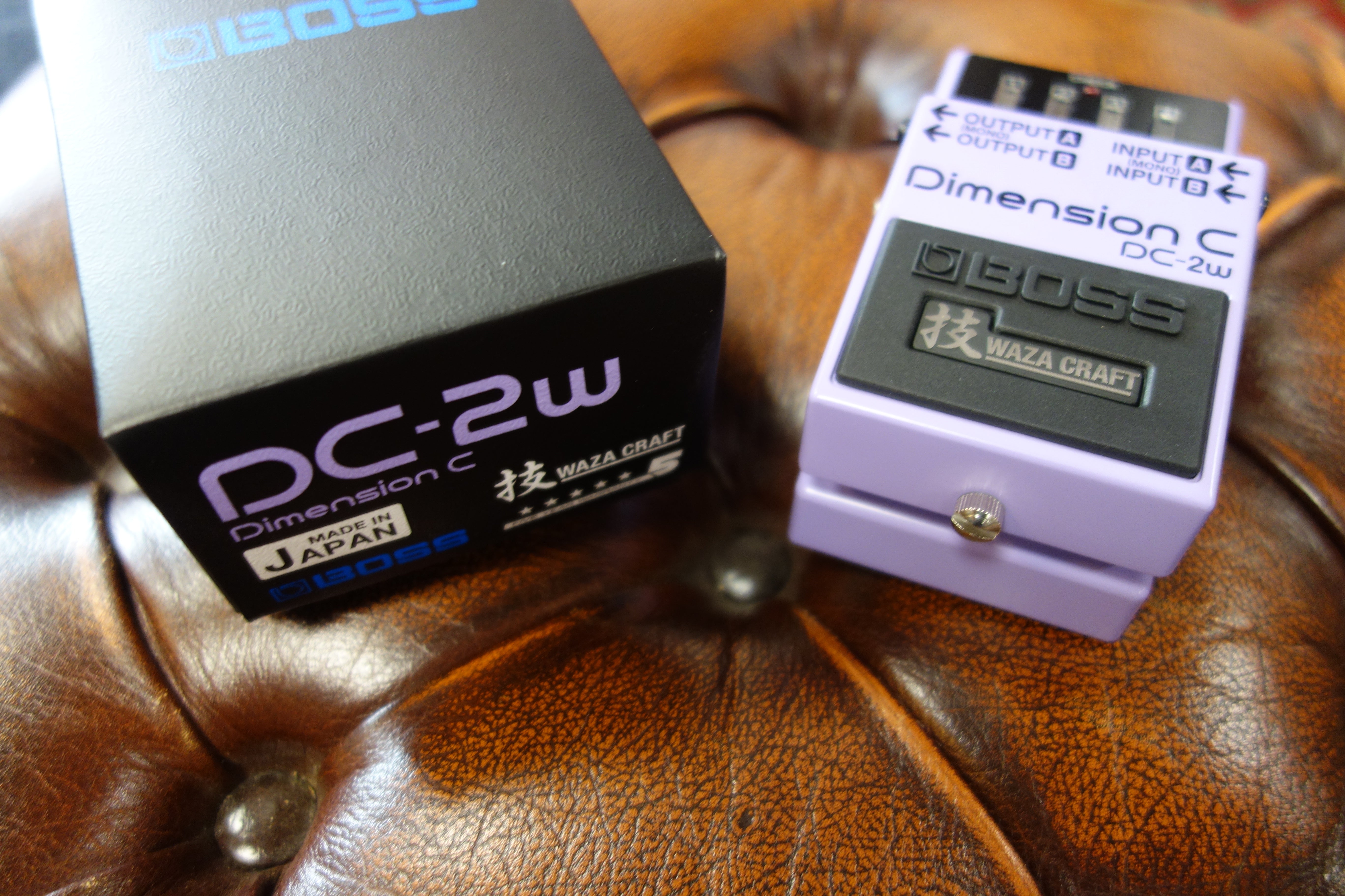 Boss DC-2W Dimension C – Dirk Witte